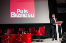 Gazele Biznesu 2013