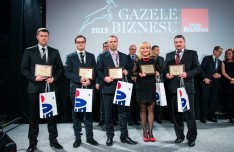 Gazele Biznesu 2013